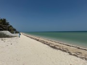  Siete lotes frente al mar en San Benito 